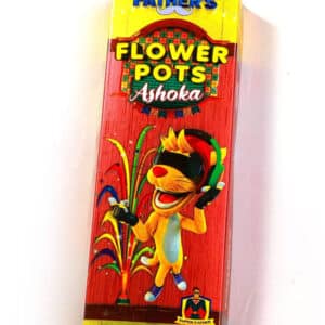 Ashoka Flower Pot 1BOX (10Pcs)