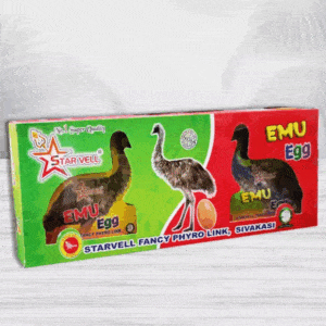 Emu Egg 1BOX(2Pcs)