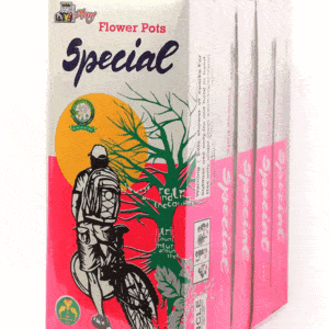 Spl Flower Pot 1BOX (10Pcs)